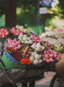 Ảnh đại diện